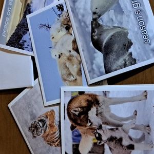 5 Christmas Holiday cards with envelopes animals snow polar bear tiger wolf seal